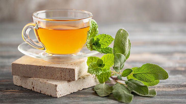 Adaçayı Nedir? Faydaları ve Kullanım Alanları