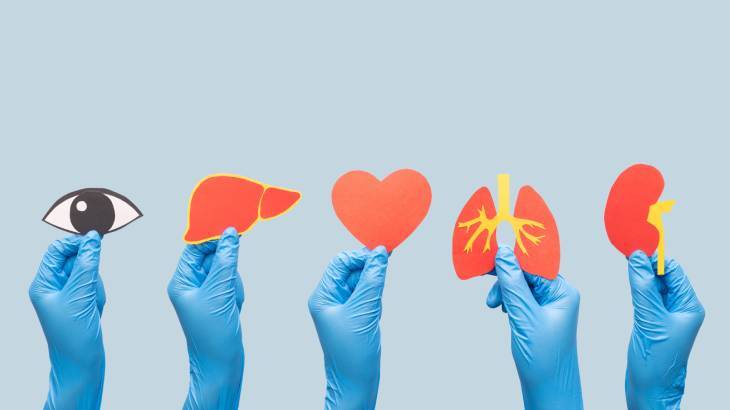 Organ Bağışçısı Olmak İçin 6 Geçerli Neden